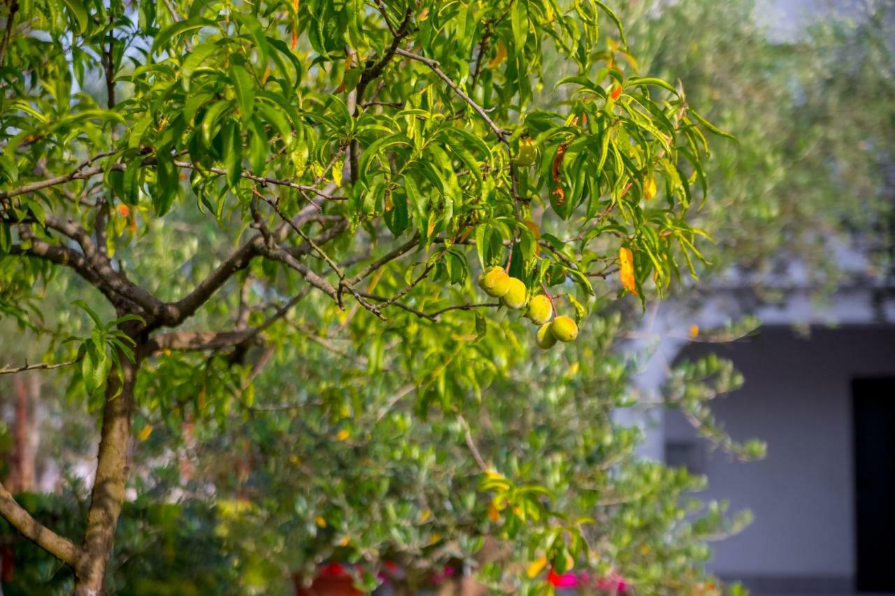Garden Paradise App Sveti Vid-Miholjice Экстерьер фото